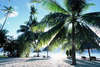 Badian Island Resort 